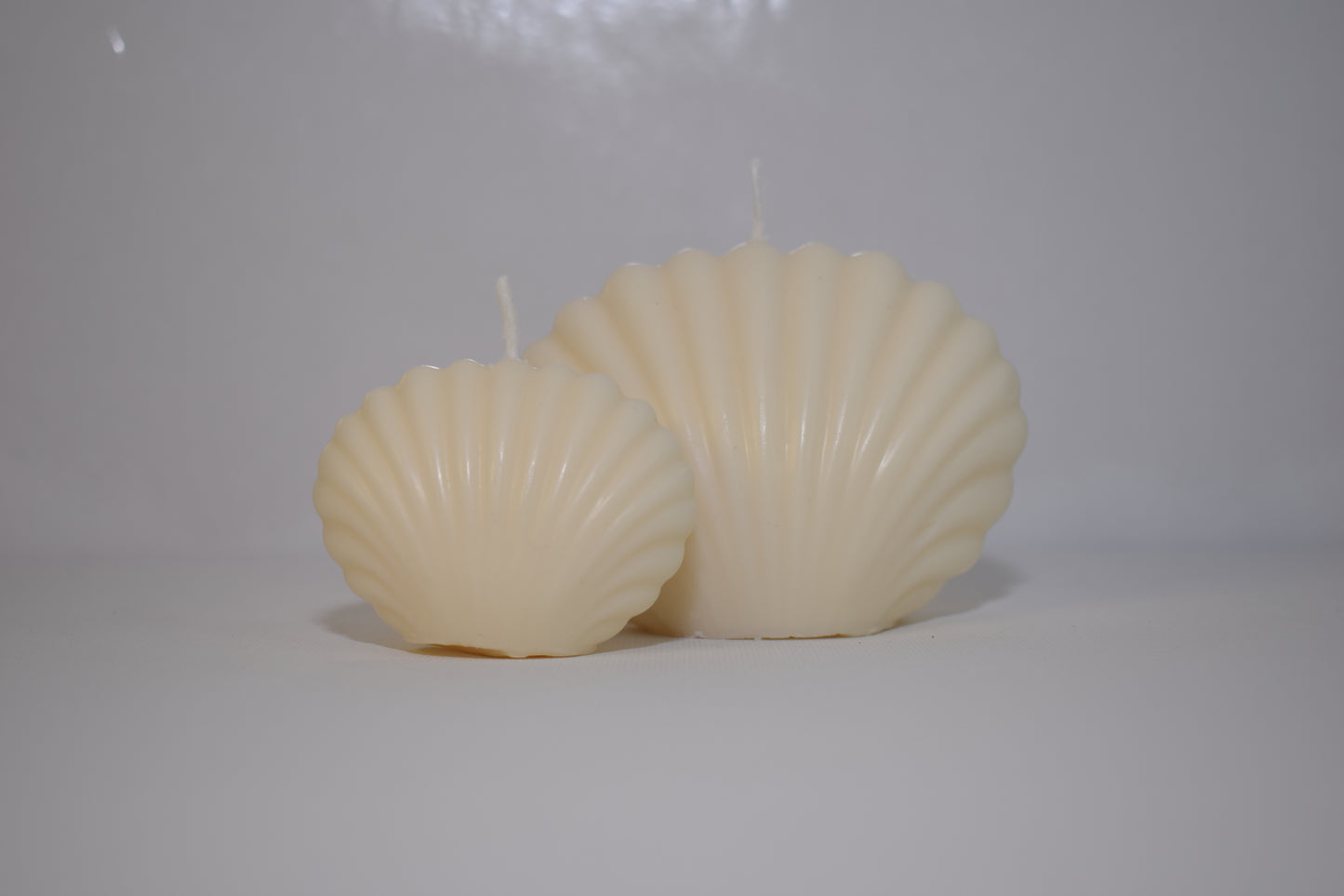 Bougies Coquillages