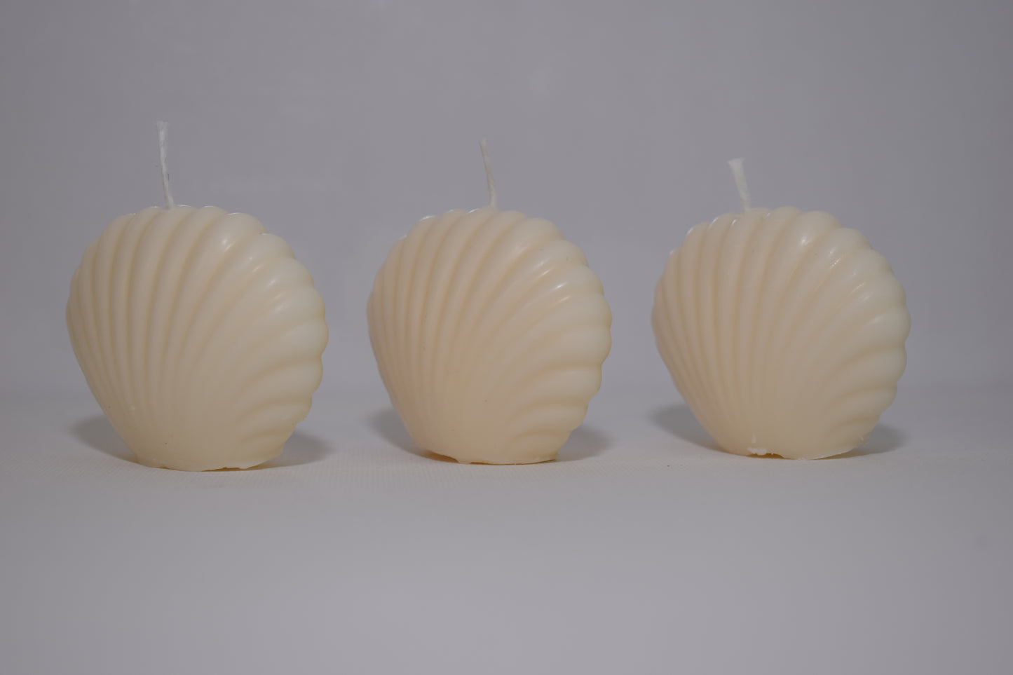 Bougies Coquillages