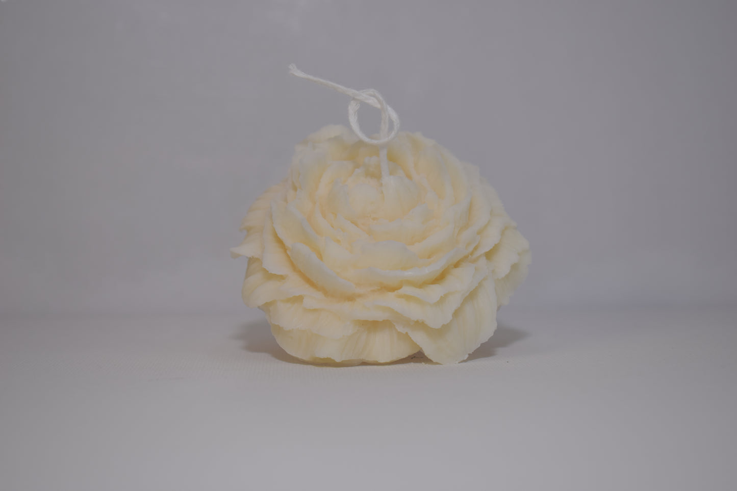 La PIVOINE