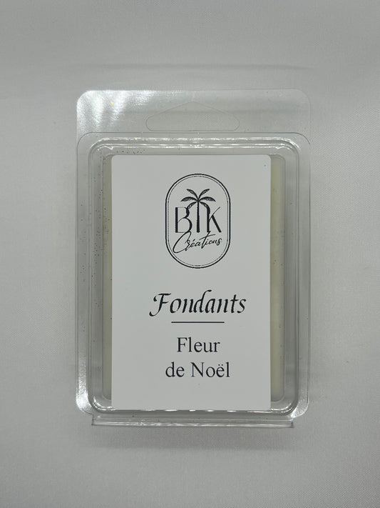 Fleur de Noël