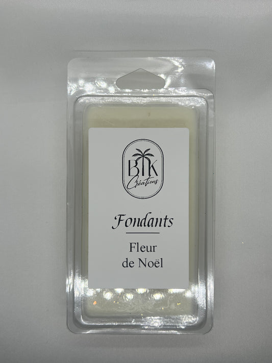 Fleur de Noël
