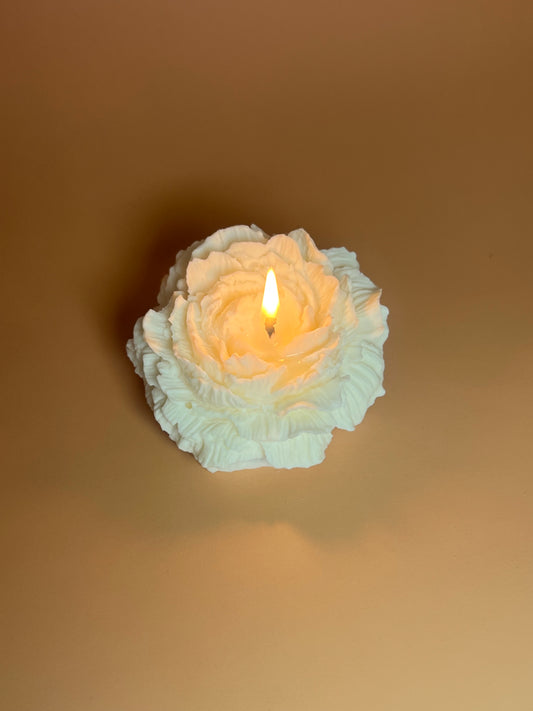 La PIVOINE