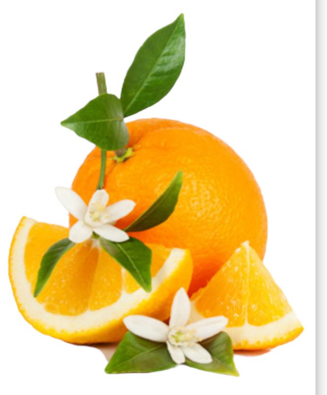 Fleur d’Oranger