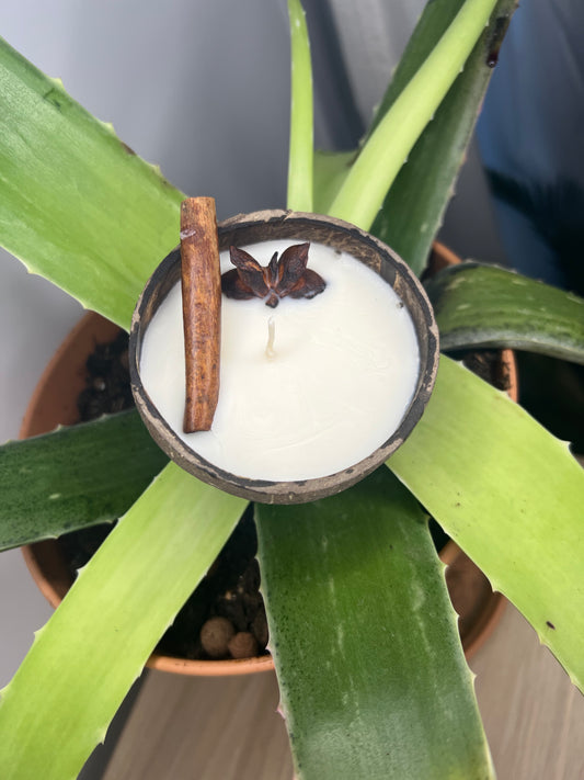 Bougies noix de coco